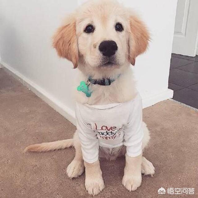 20221127135410_24356