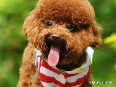 20221127135410_72875