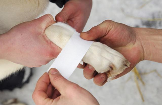 20221127155006_25971 20221127155006_25971