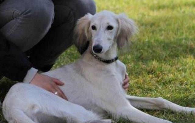 20221127155006_97006 20221127155006_97006