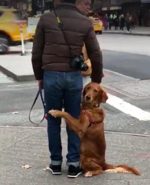 20221127165735_79809 20221127165735_79809