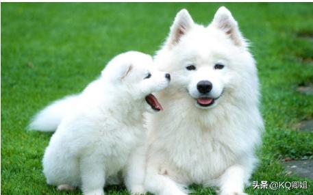 20221127213022_81718