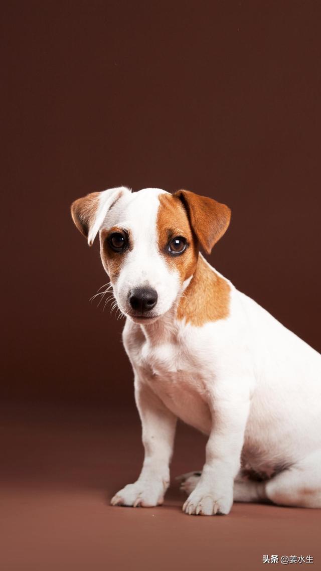 20221127213023_64595 20221127213023_64595