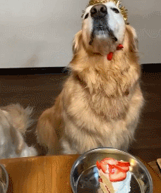 20221128114428_77897