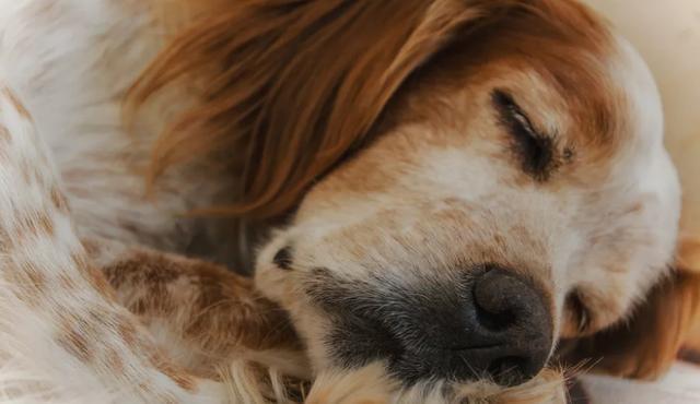 20221128161452_31335