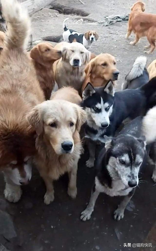 20221128191300_61505