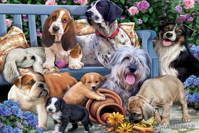 20221128191300_80151 20221128191300_80151