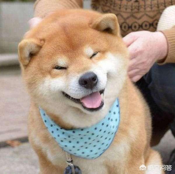 20221128191301_87855 20221128191301_87855