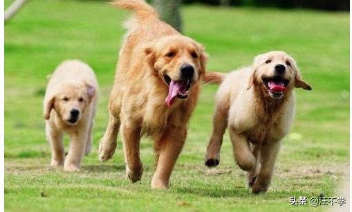 20221128201420_62198