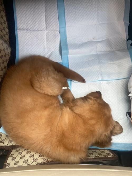 20221128202440_56338