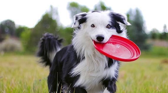 20221128221518_95303