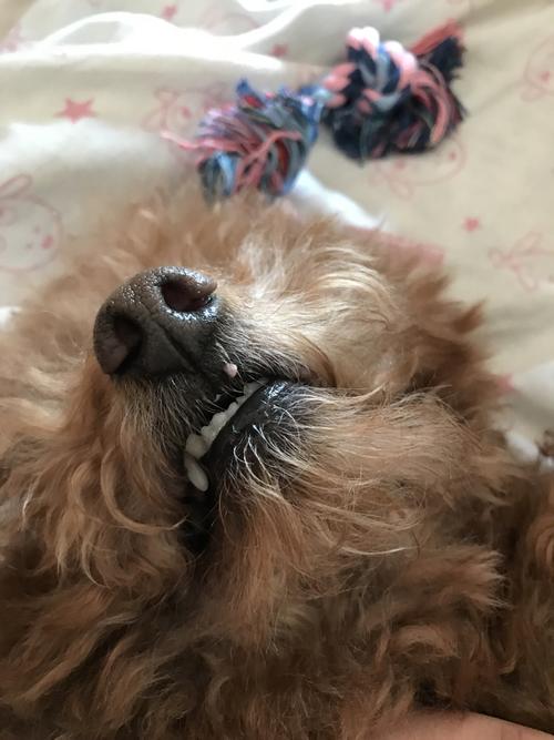 20221128225953_52322