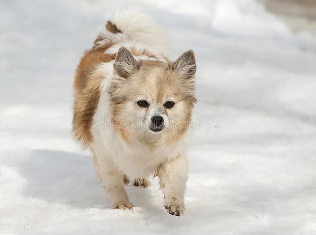 20221129085154_26560