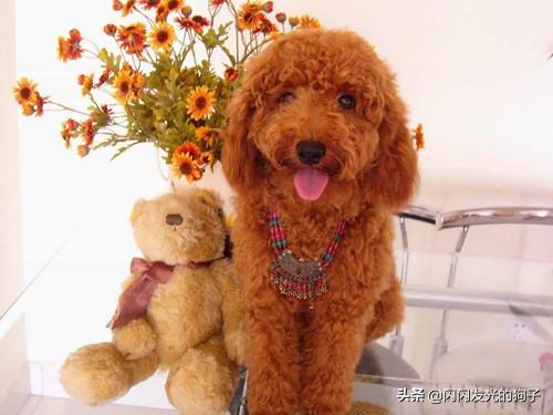 20221130214932_44574 20221130214932_44574