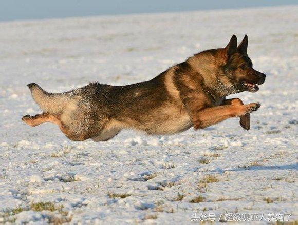 20221201114554_54622 20221201114554_54622