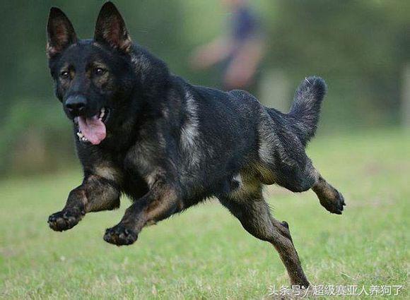 20221201114554_78823 20221201114554_78823