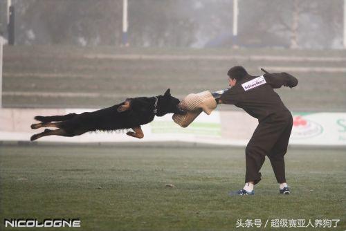 20221201114555_64322 20221201114555_64322