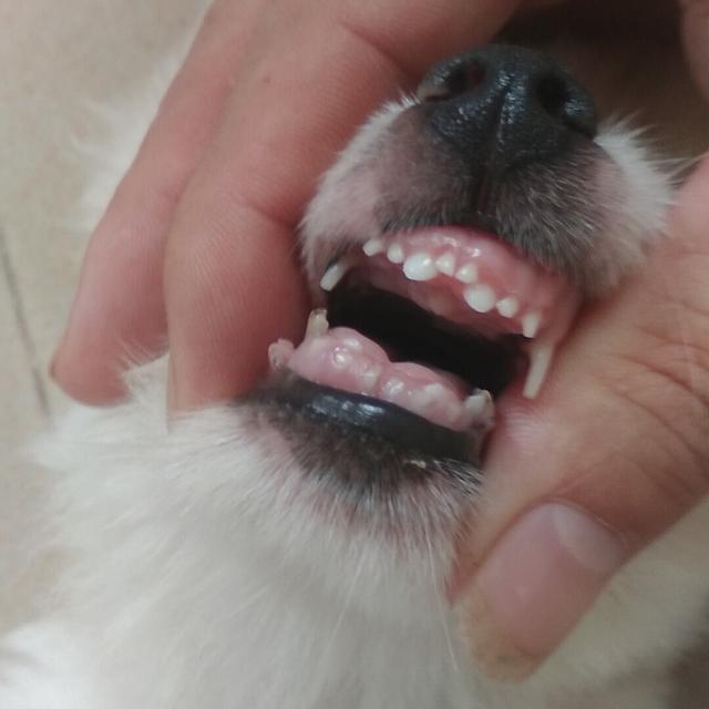 20221201114726_93567 20221201114726_93567