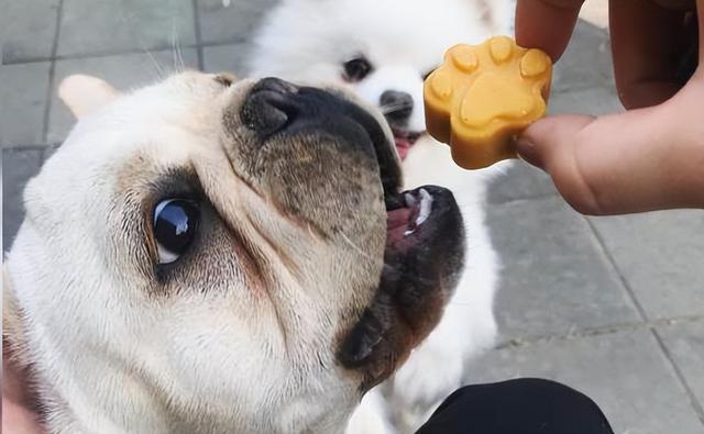 20221201115828_38293 20221201115828_38293