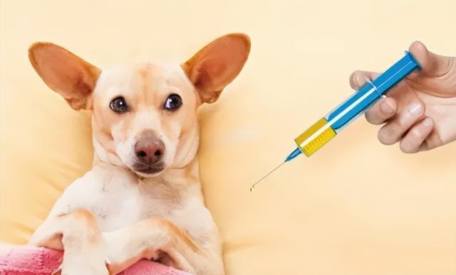 20221201115828_90904