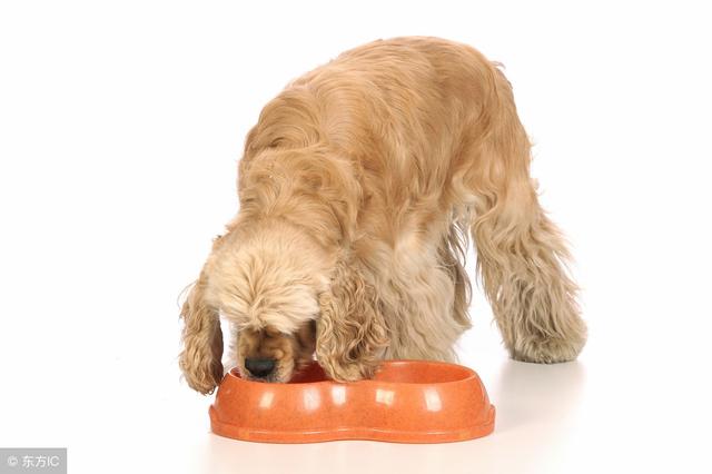 20221201121447_14307