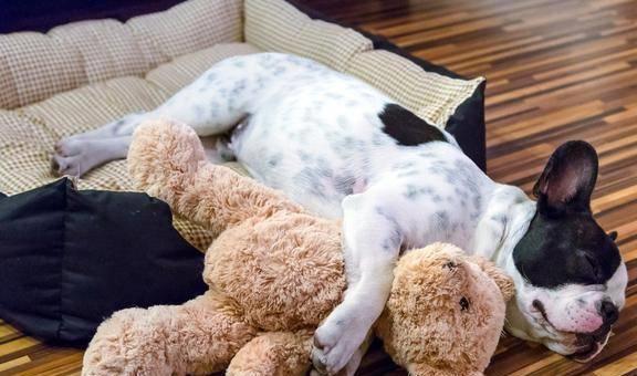 20221201125616_42857 20221201125616_42857