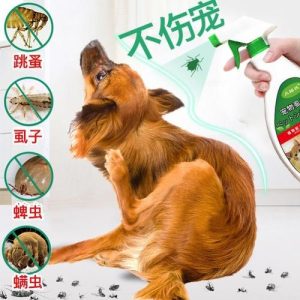 狗狗长虱子会传给人吗-警犬训练器材厂家 _警犬训练用品_工作犬训练用品-南京开久警犬装备