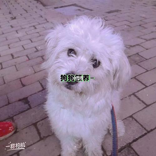 20221201130908_31807 20221201130908_31807