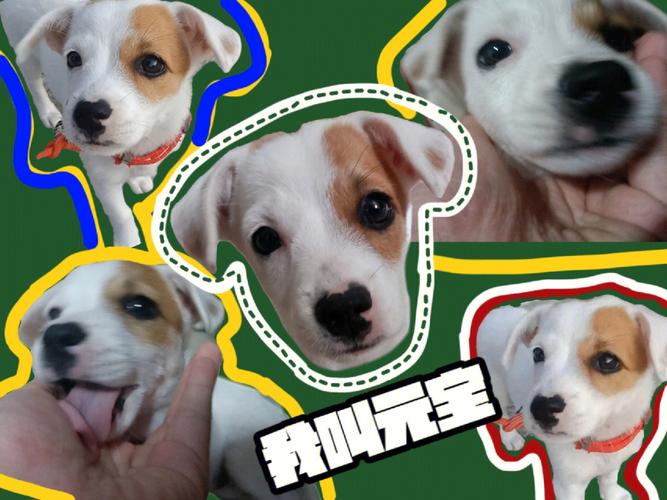 20221201130909_27276 20221201130909_27276