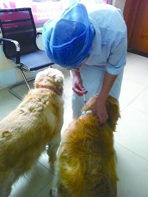 20221201131708_31511