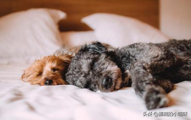 20221201133315_80697 20221201133315_80697