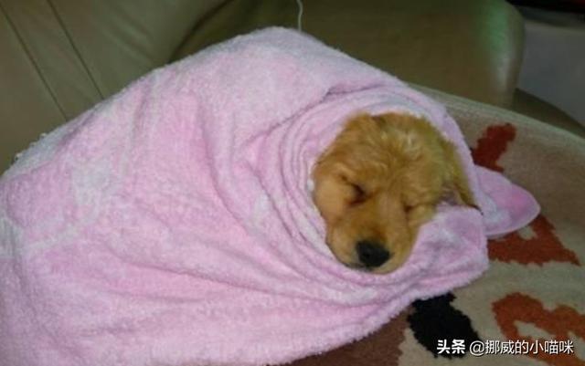 20221201133315_89224 20221201133315_89224