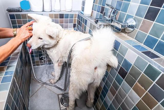 20221201134218_77222