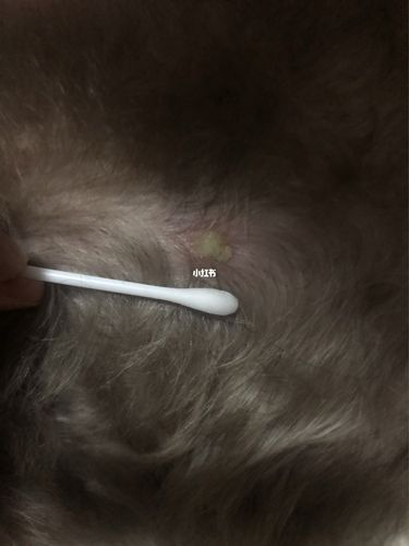 20221201134745_11777 20221201134745_11777