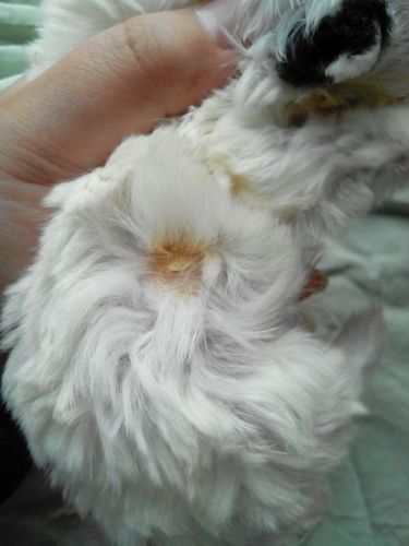 20221201134746_40237 20221201134746_40237