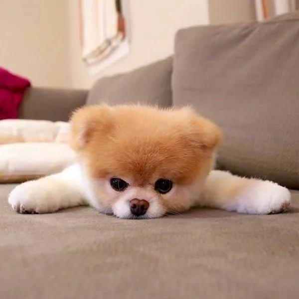 20221201135030_45033 20221201135030_45033