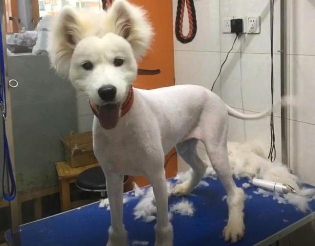 20221201140612_27311