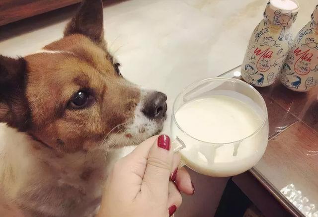 20221201140612_98317