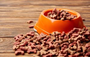 喂狗粮以后多久喂水  狗狗多久可以喂干狗粮-警犬训练器材厂家 _警犬训练用品_工作犬训练用品-南京开久警犬装备