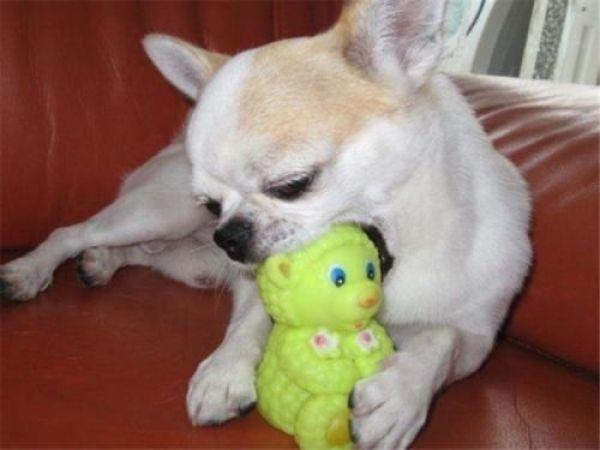 20221201142322_54454