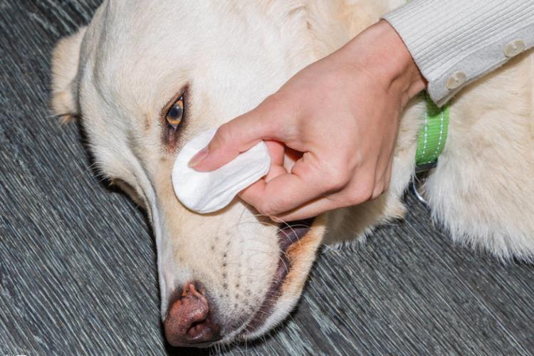 20221201142950_35361