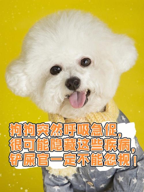 20221201142950_62600