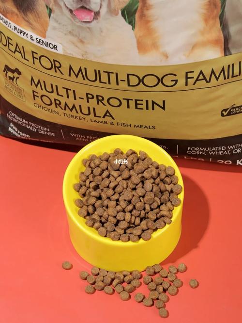 20221201143536_27699