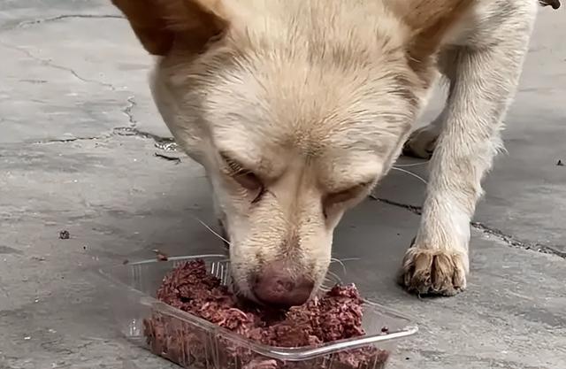 20221201143806_17108 20221201143806_17108