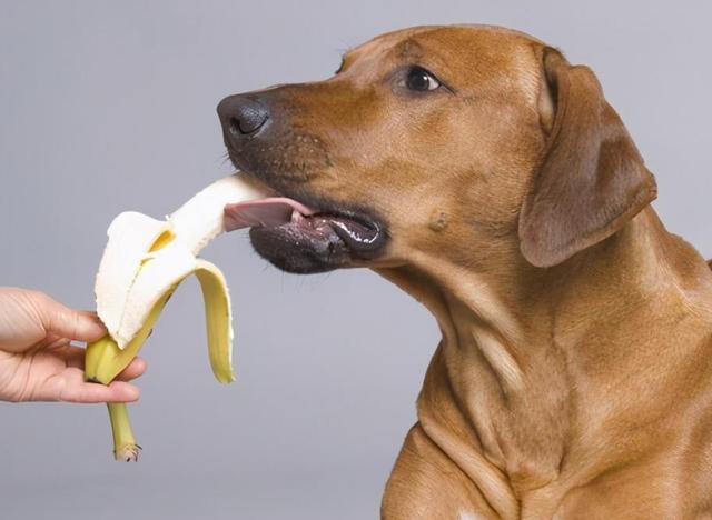 20221201143806_93892 20221201143806_93892