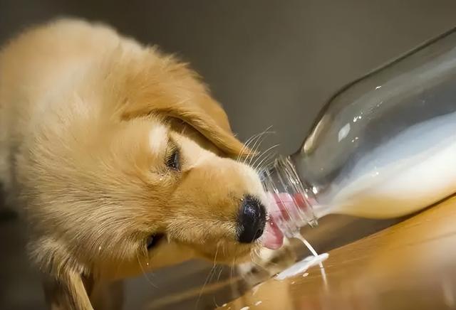 20221201143807_72877 20221201143807_72877