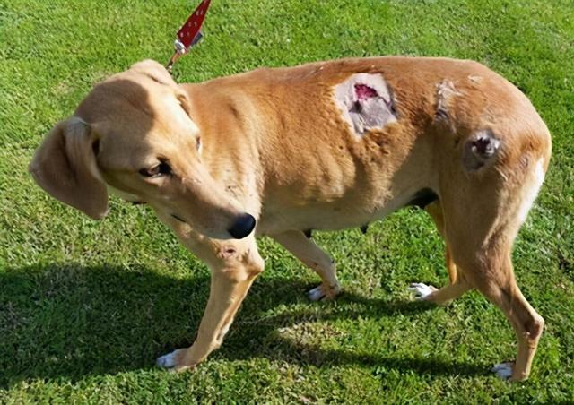 20221201144158_27278 20221201144158_27278