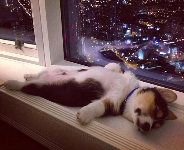 20221201144158_51948