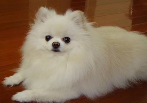 20221201144239_62320