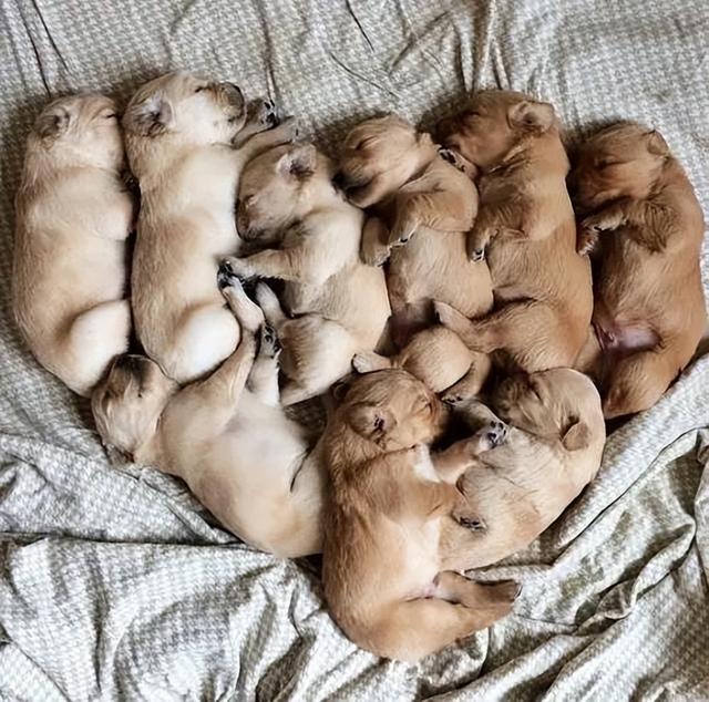 20221201145513_28679 20221201145513_28679